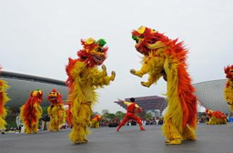 沧县狮舞
