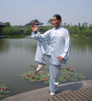 杨氏太极拳