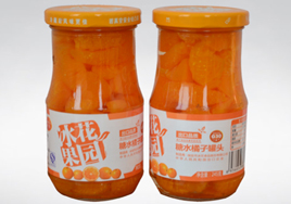 糖水桔子罐头245g12 