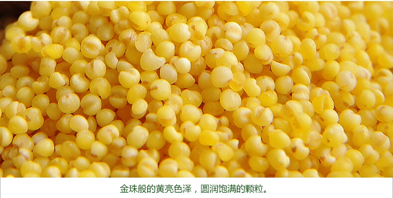 黄小米 黄小米