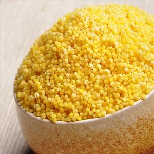 黄小米_河北深州特色农产品黄小米